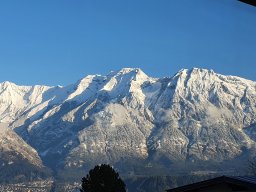 Bettelwurf im Winter - Gschwendtalm Tirol